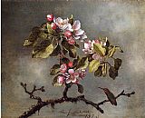 Martin Johnson Heade Famous Paintings - Apple Blossoms and Hummingbird